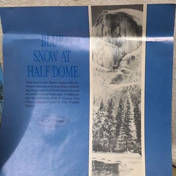 BLUE SNOW AT HALF DOME BRADFORD EXCHANGE COLLECTOR PLATE: BY JEAN SIAS - Picture 4 of 6